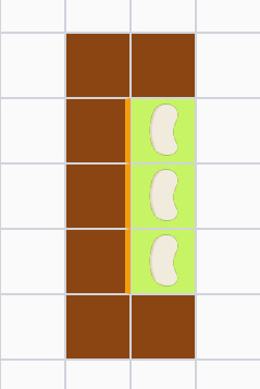 Garden bed with trellis line visible